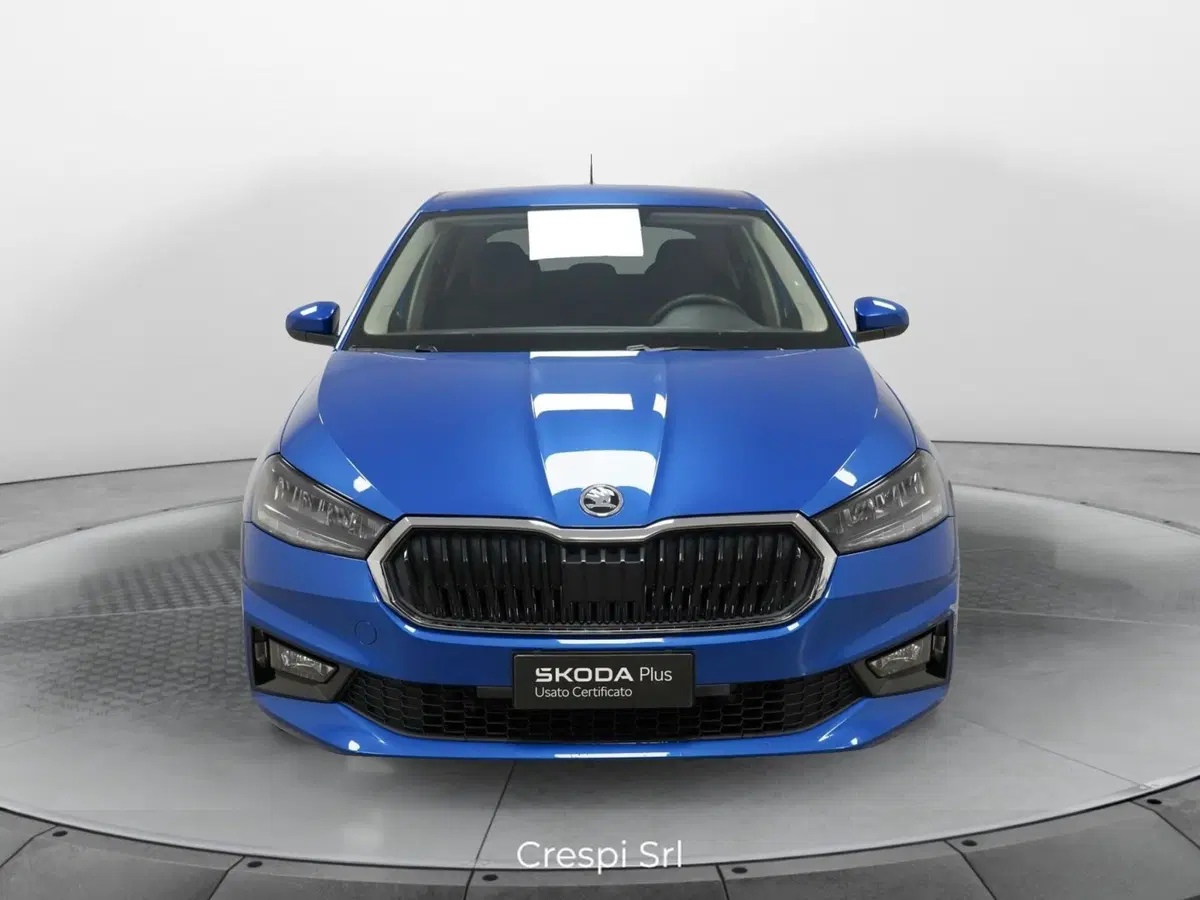 Skoda Fabia usata a Varese (2)
