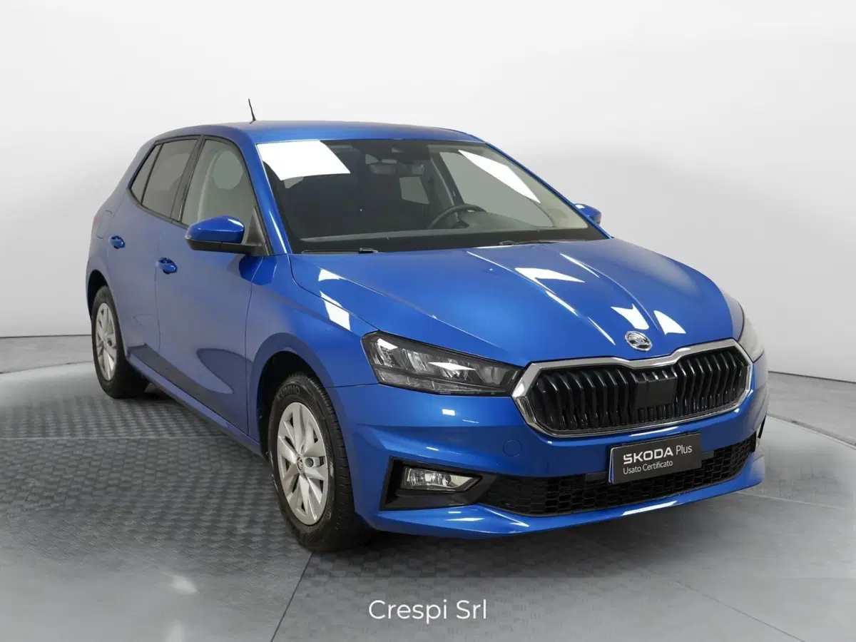 Skoda Fabia usata a Varese (3)