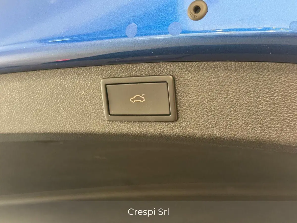 Skoda Kodiaq usata a Varese (20)