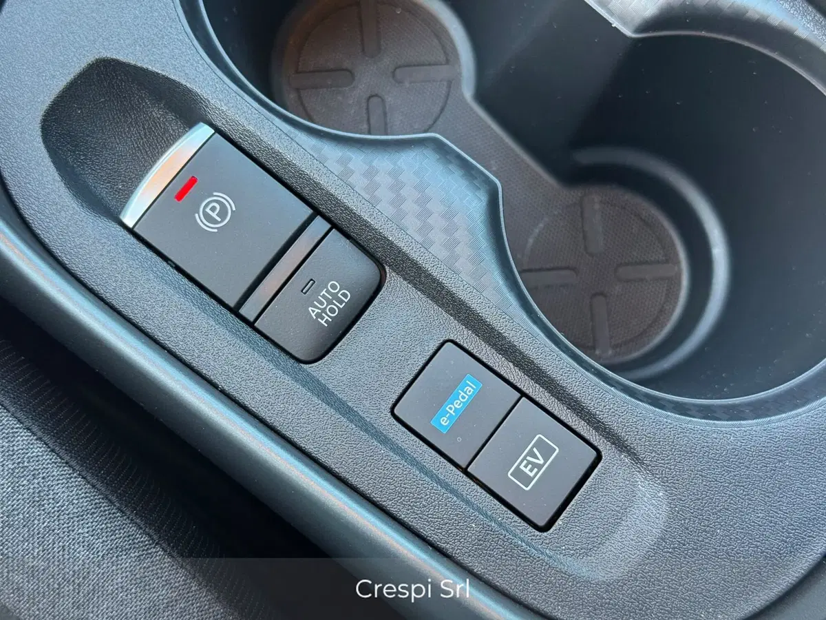 Nissan Juke usata a Varese (19)