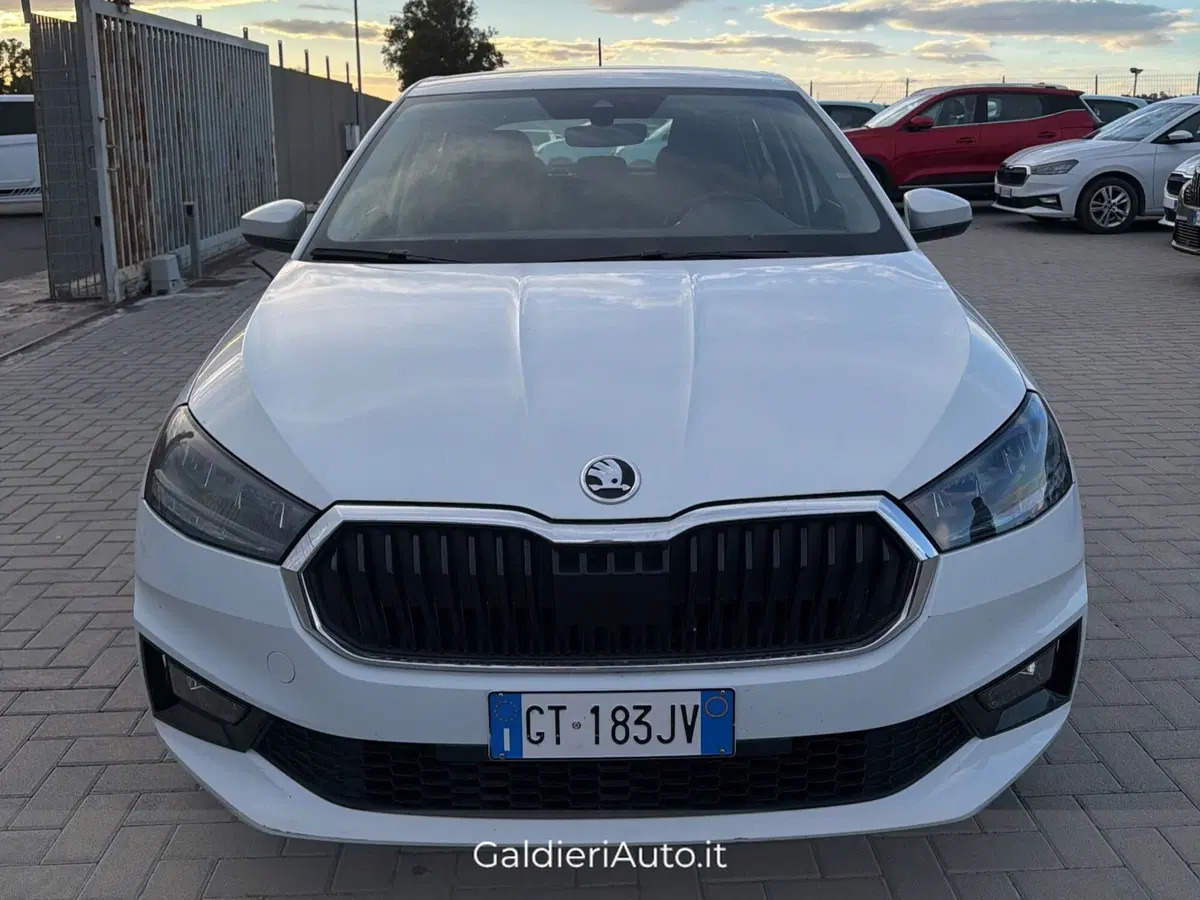 Skoda Fabia usata a Salerno (19)