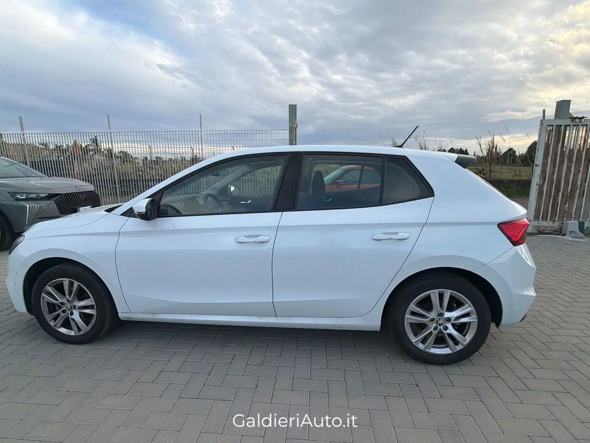 Skoda Fabia usata a Salerno (9)