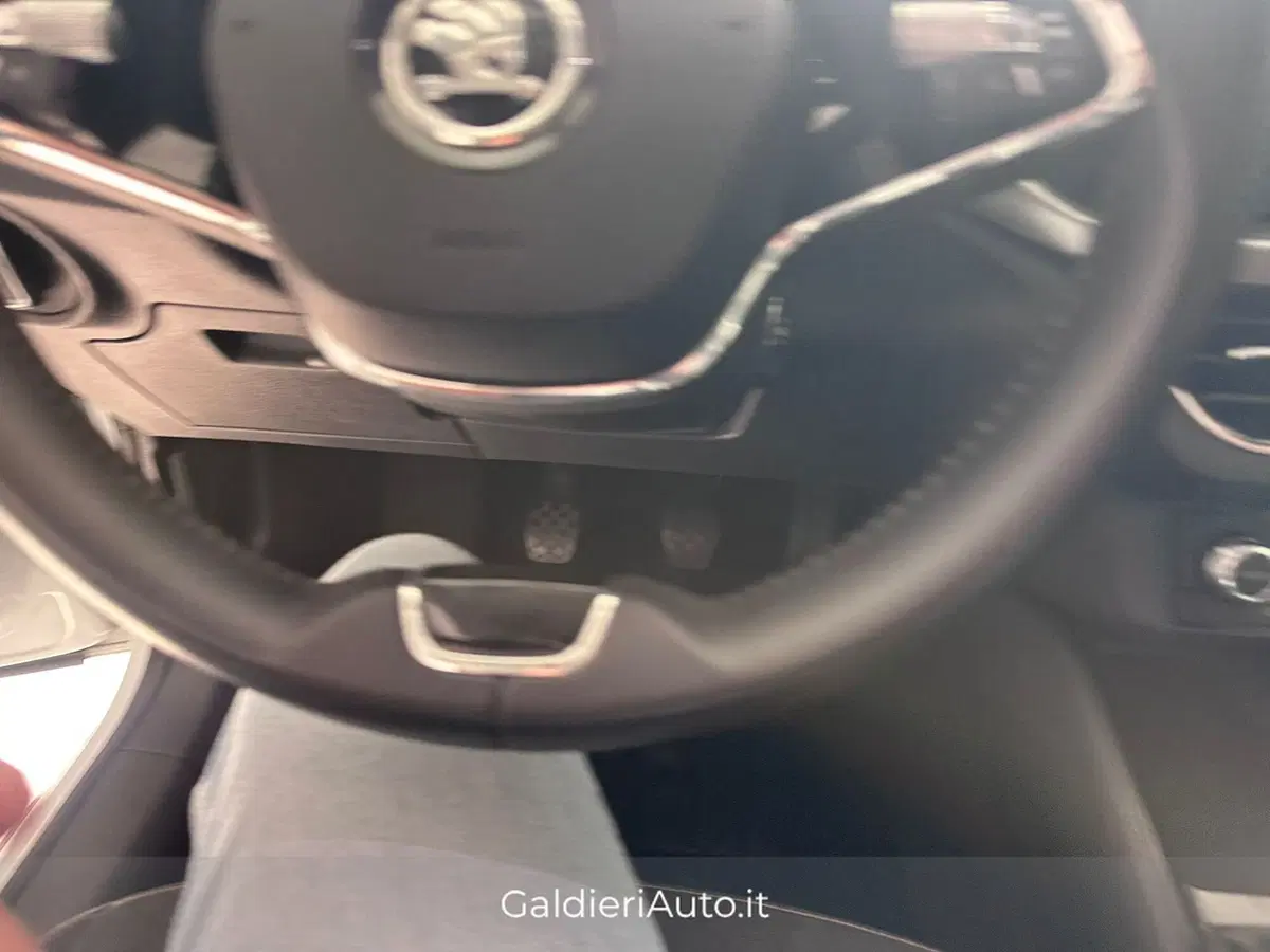 Skoda Kamiq usata a Salerno (12)