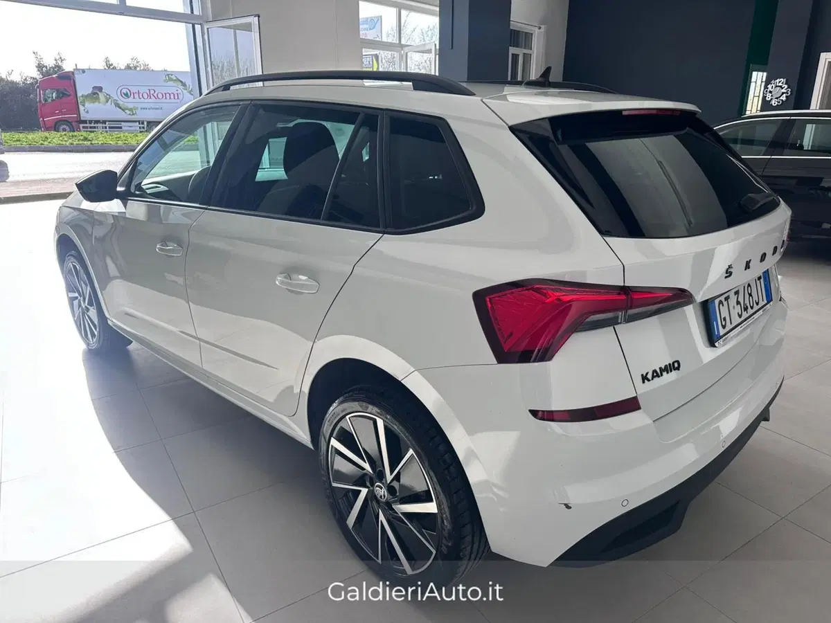 Skoda Kamiq usata a Salerno (7)