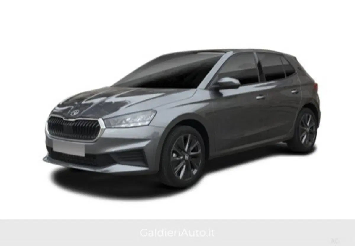 Skoda Fabia usata a Salerno (4)