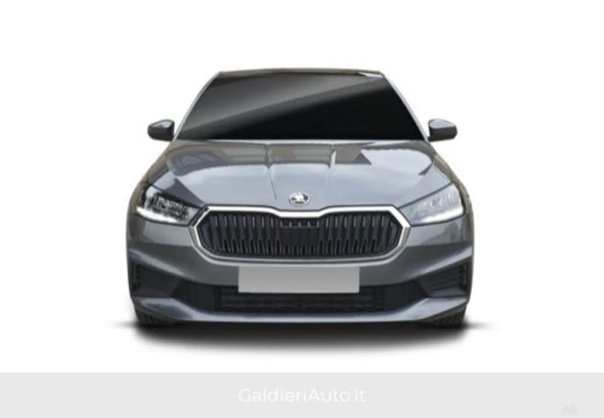 Skoda Fabia usata a Salerno (6)