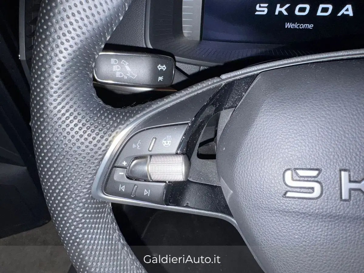 Skoda Karoq usata a Salerno (19)