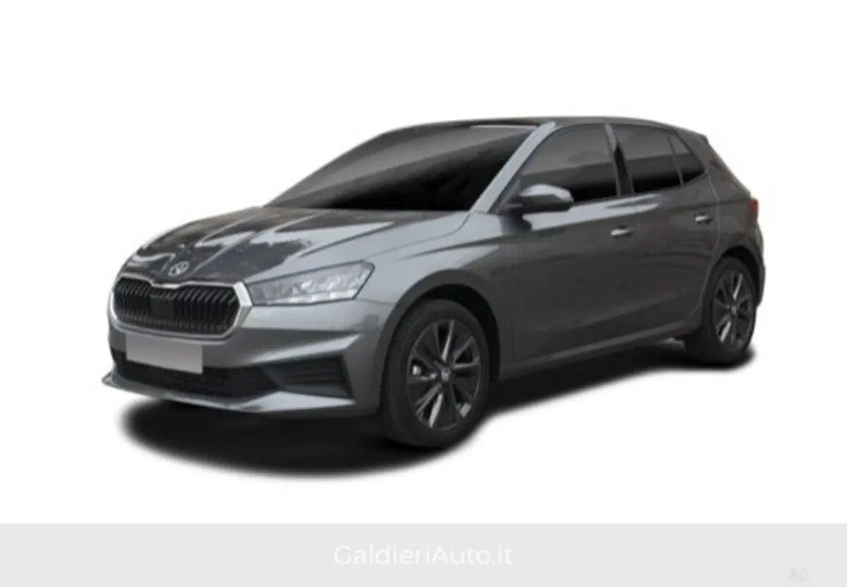 Skoda Fabia usata a Salerno (4)