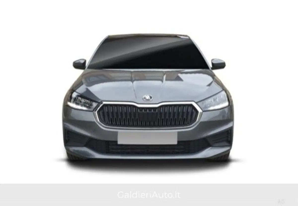 Skoda Fabia usata a Salerno (6)