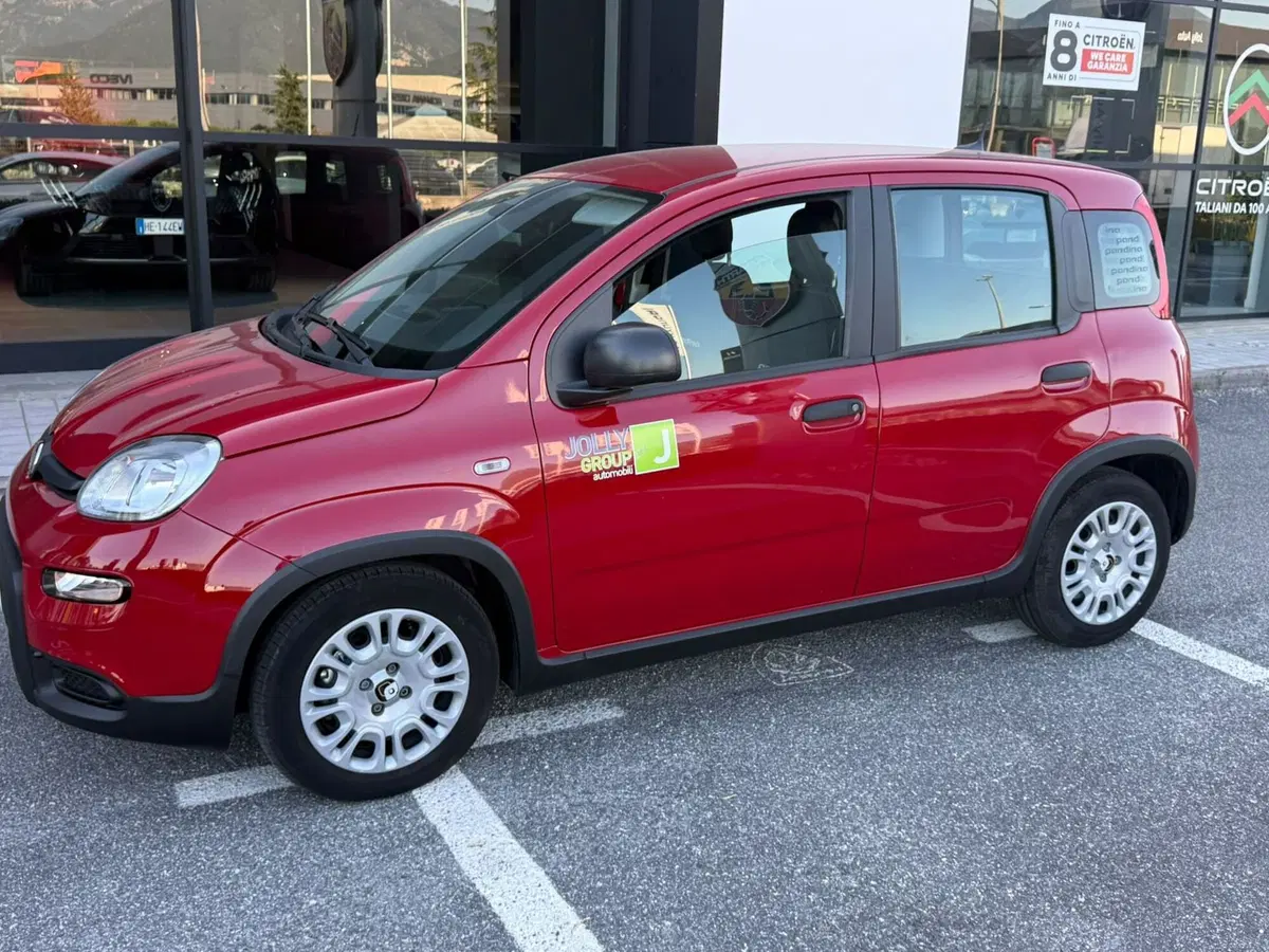 Fiat Panda usata a Frosinone