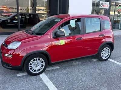 Fiat Panda 1.0 FireFly S&S Hybrid City Cross del 2024 usata a Ceccano