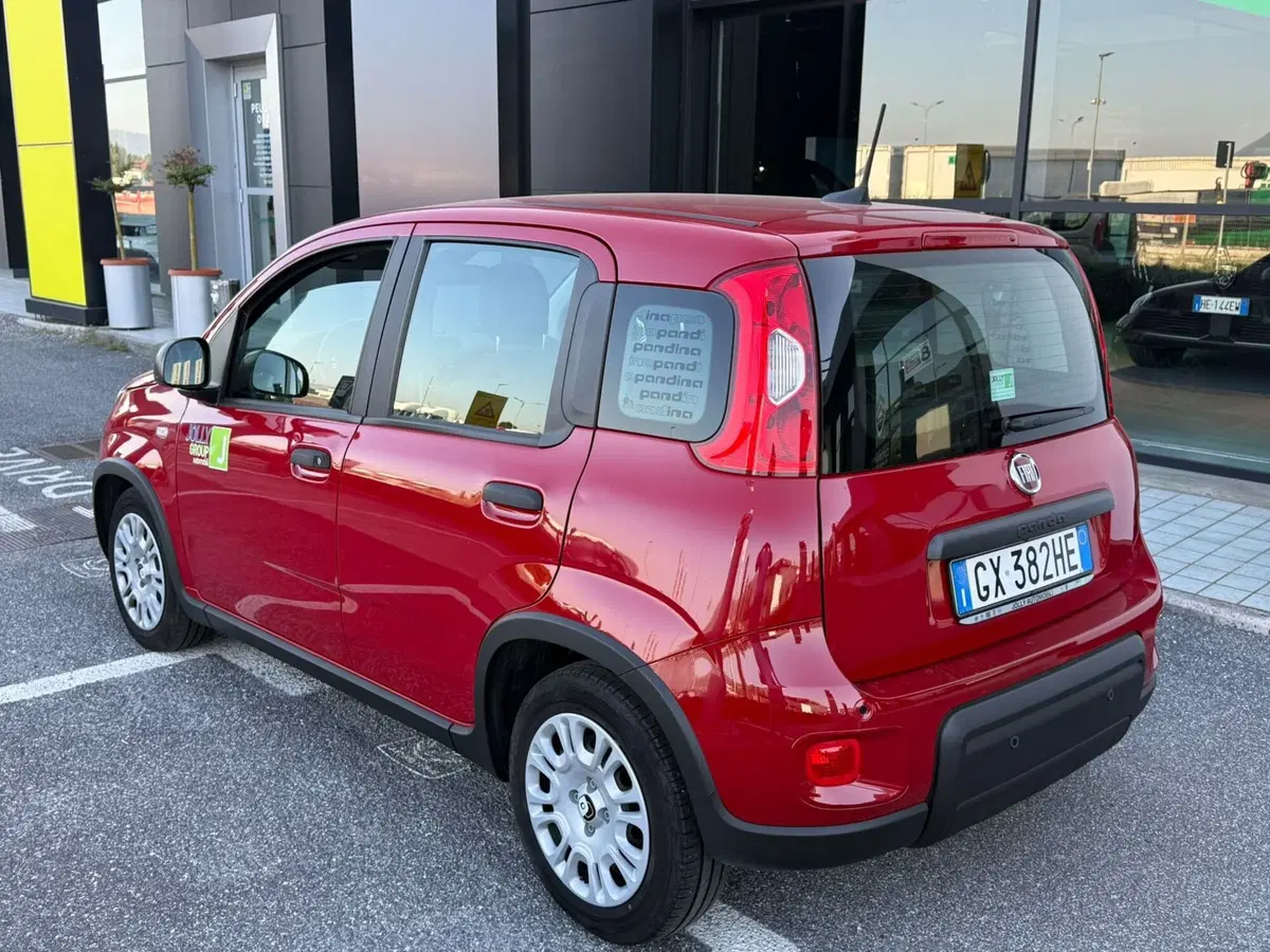 Fiat Panda usata a Frosinone (12)