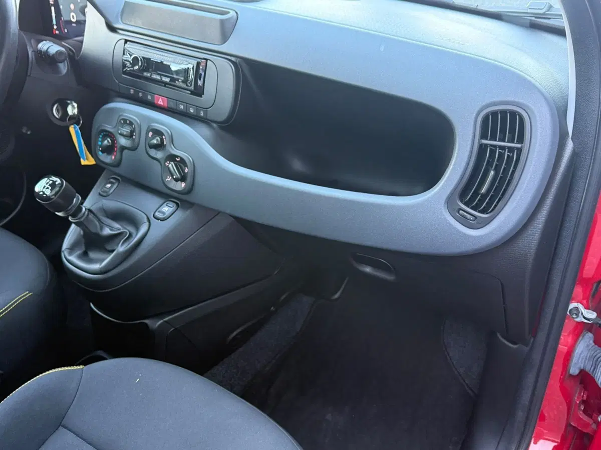 Fiat Panda usata a Frosinone (15)