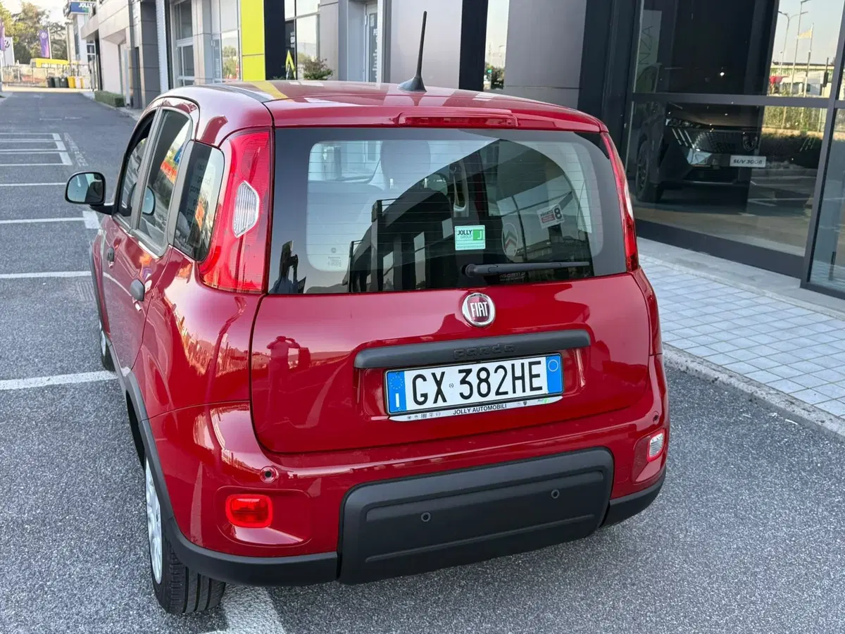 Fiat Panda usata a Frosinone (16)
