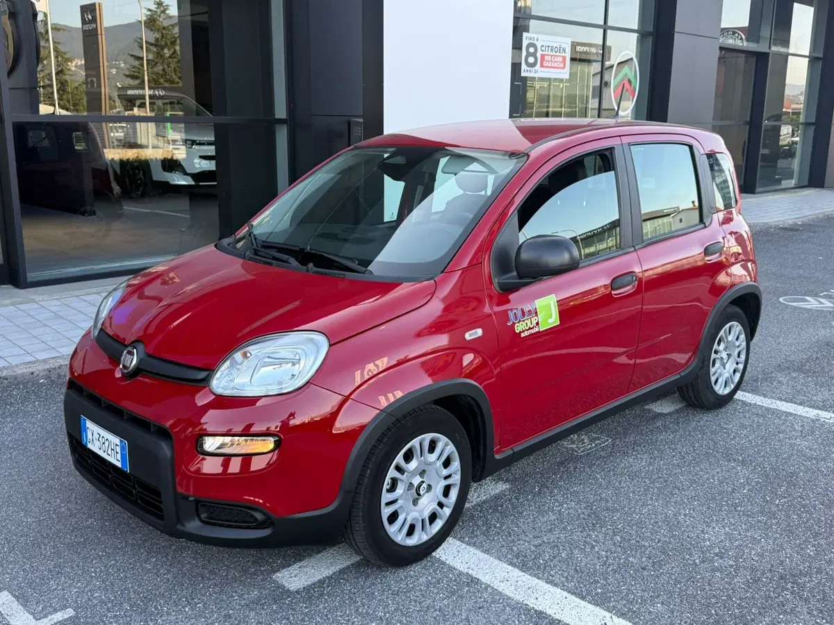 Fiat Panda usata a Frosinone (19)