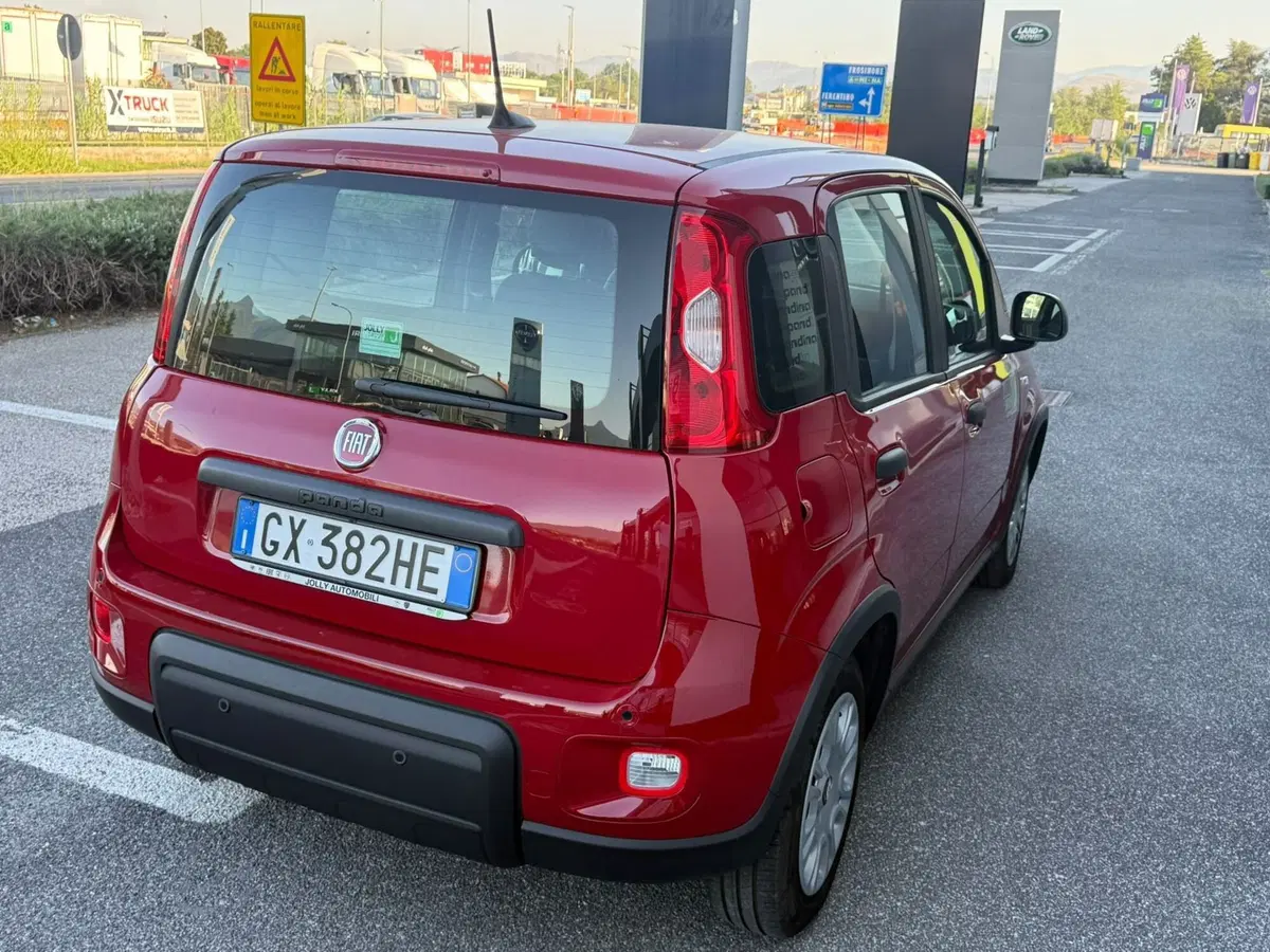 Fiat Panda usata a Frosinone (3)