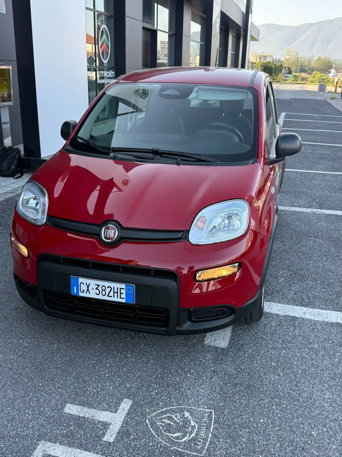 Fiat Panda usata a Frosinone (4)