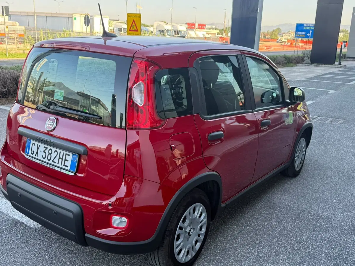 Fiat Panda usata a Frosinone (6)