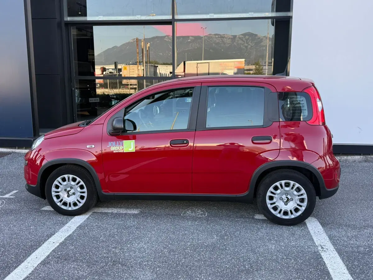 Fiat Panda usata a Frosinone (7)