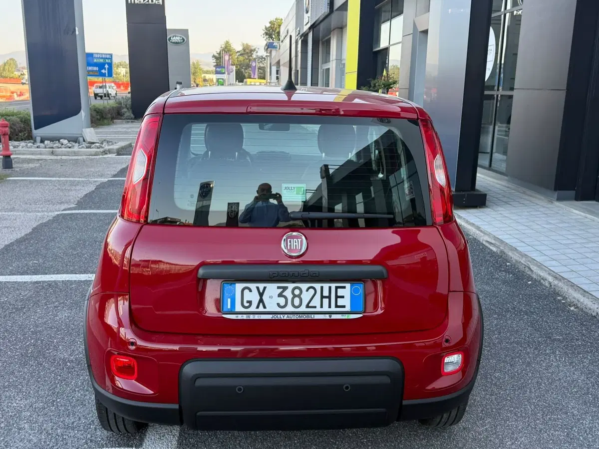 Fiat Panda usata a Frosinone (8)