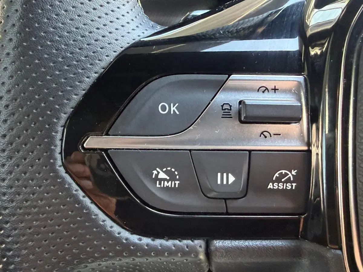 Peugeot 308 SW usata a Massa-Carrara (15)