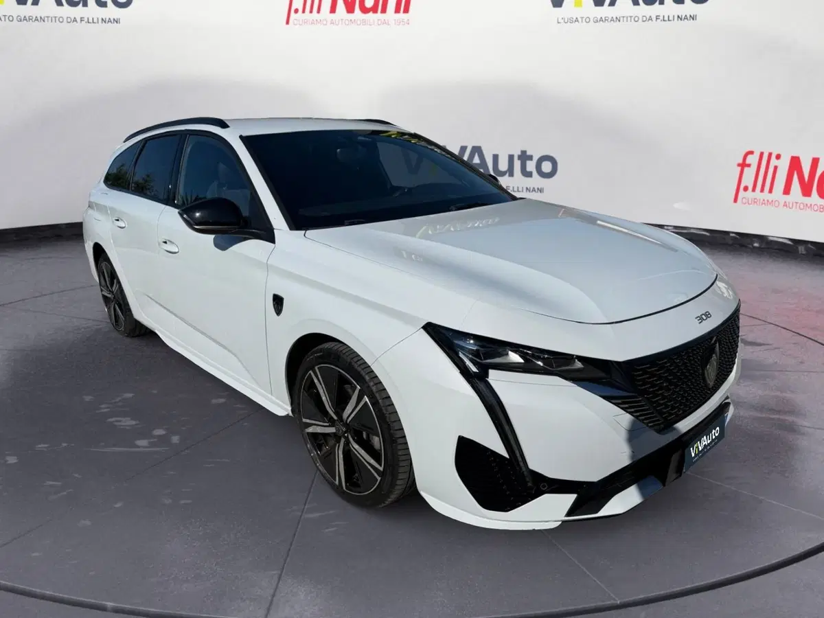 Peugeot 308 SW usata a Massa-Carrara (17)