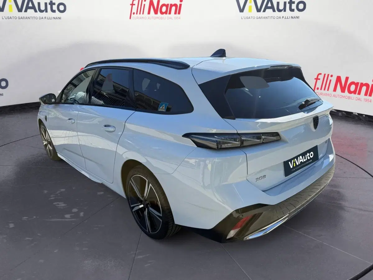 Peugeot 308 SW usata a Massa-Carrara (18)