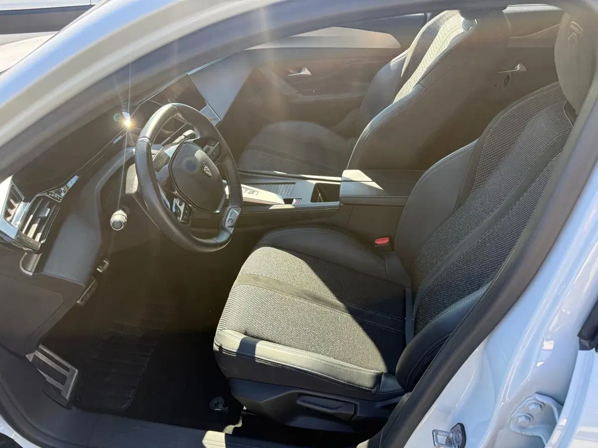 Peugeot 308 SW usata a Massa-Carrara (19)