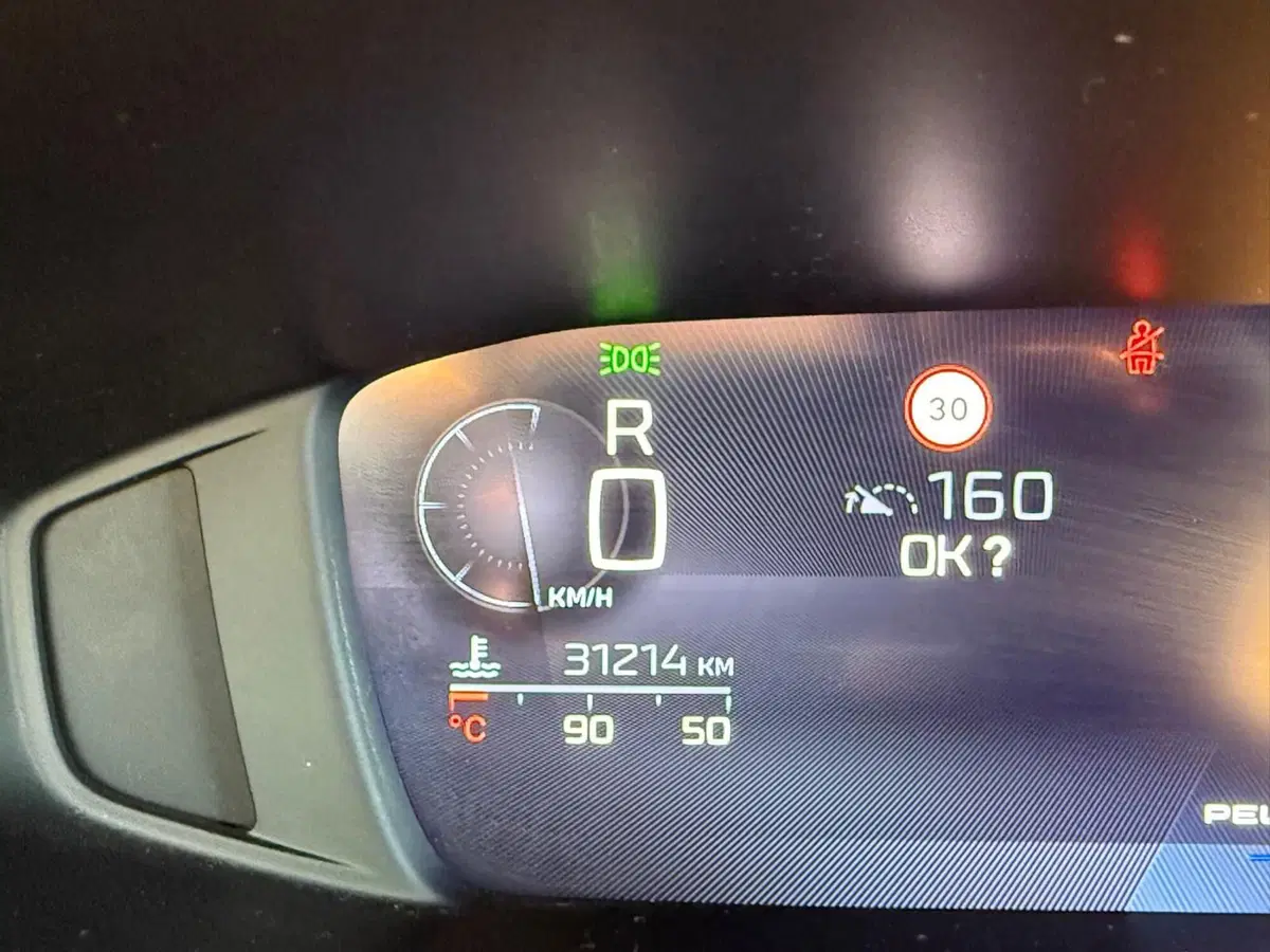 Peugeot 308 SW usata a Massa-Carrara (9)