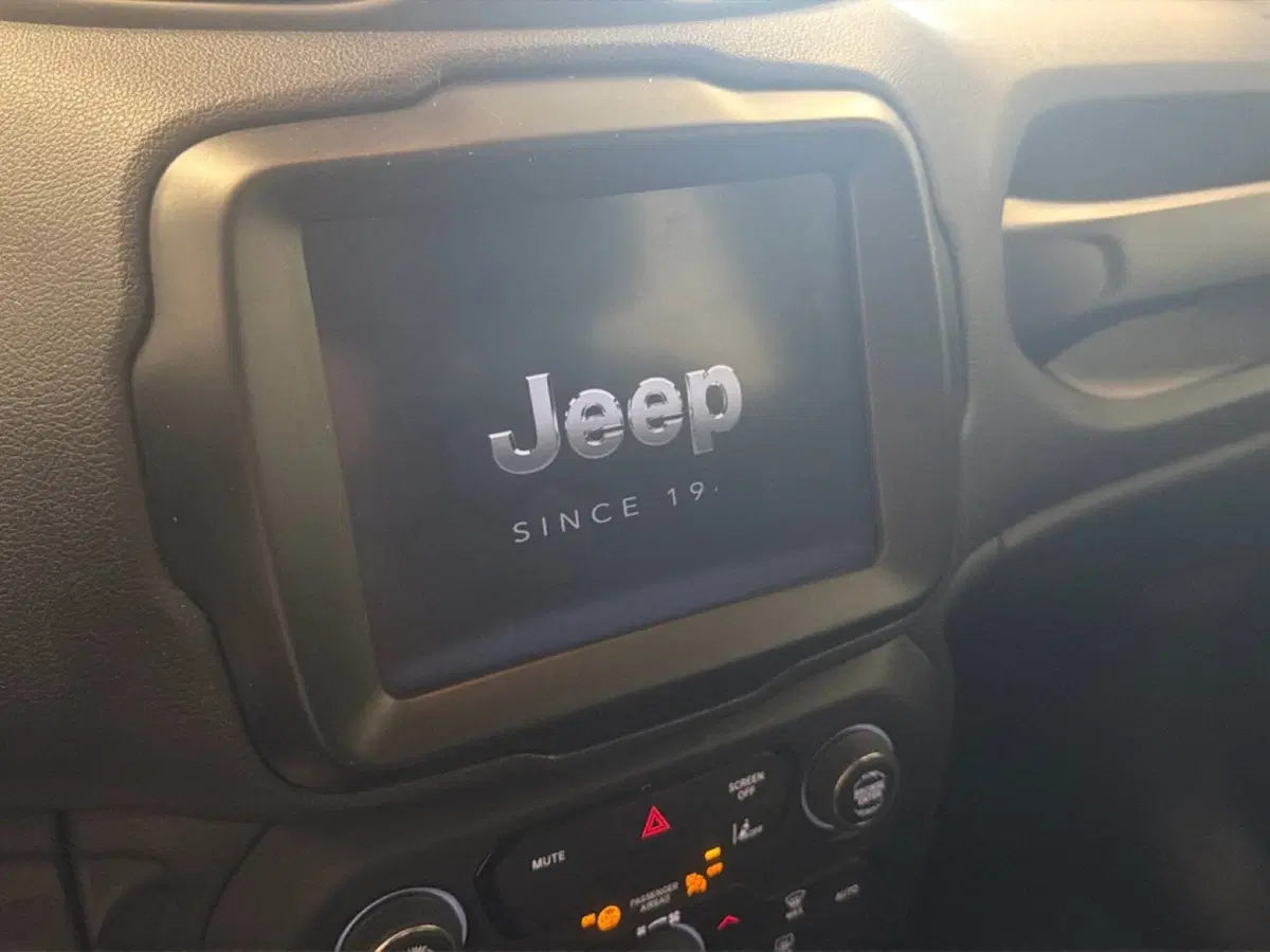Jeep Renegade usata a Palermo (10)