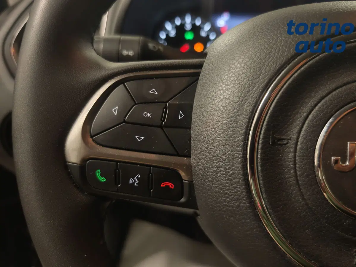 Jeep Renegade usata a Torino (12)