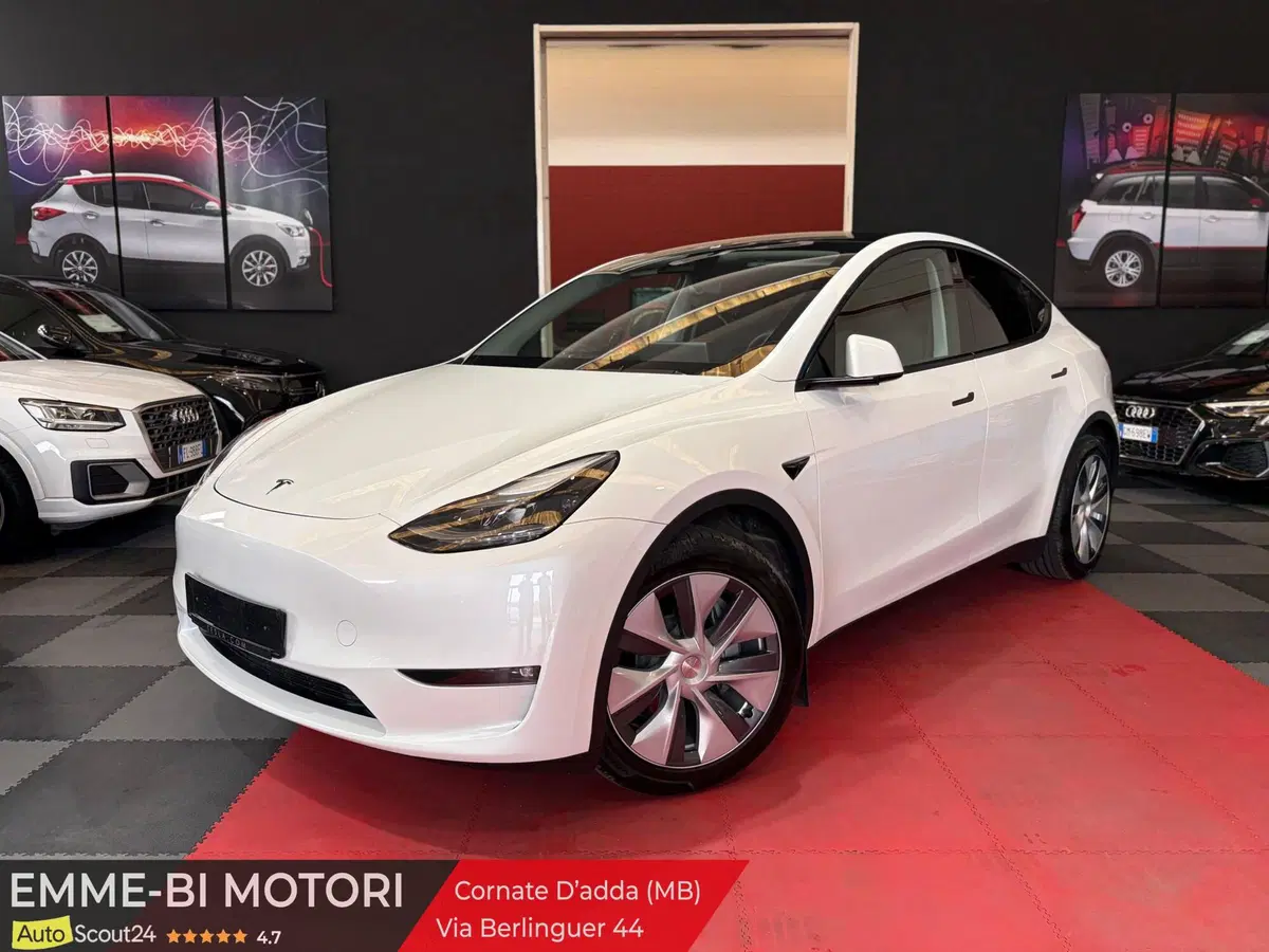 Tesla Model Y usata a Monza e Brianza