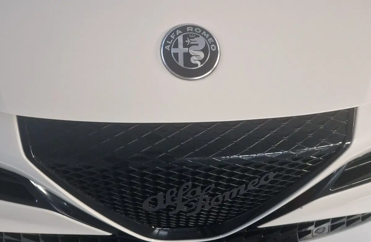 Alfa Romeo Junior usata a Terni (20)