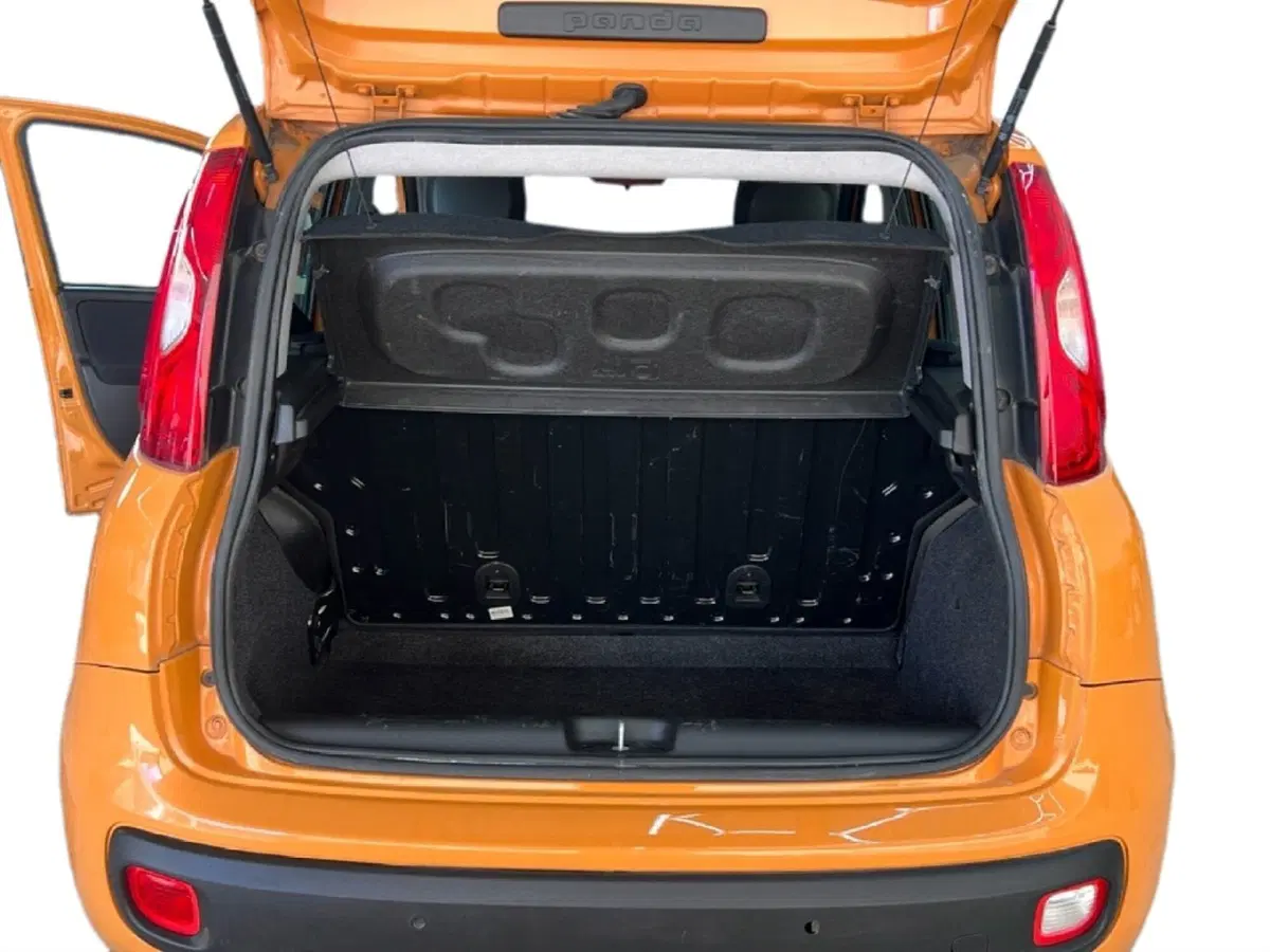Fiat Panda usata a Roma (10)