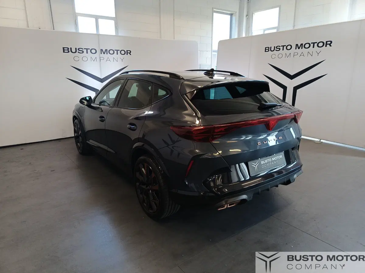 Cupra Formentor usata a Varese (6)