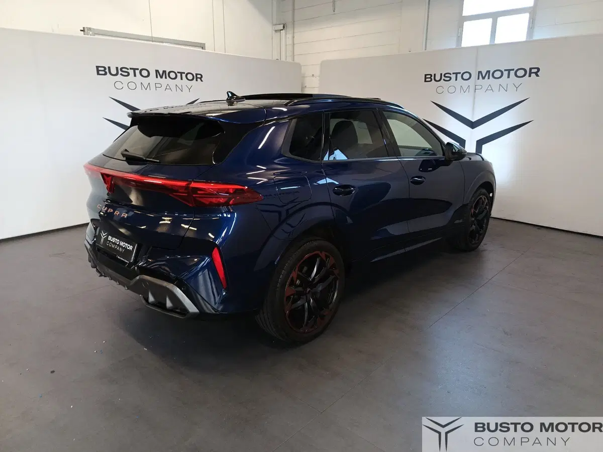 Cupra Terramar usata a Varese (4)