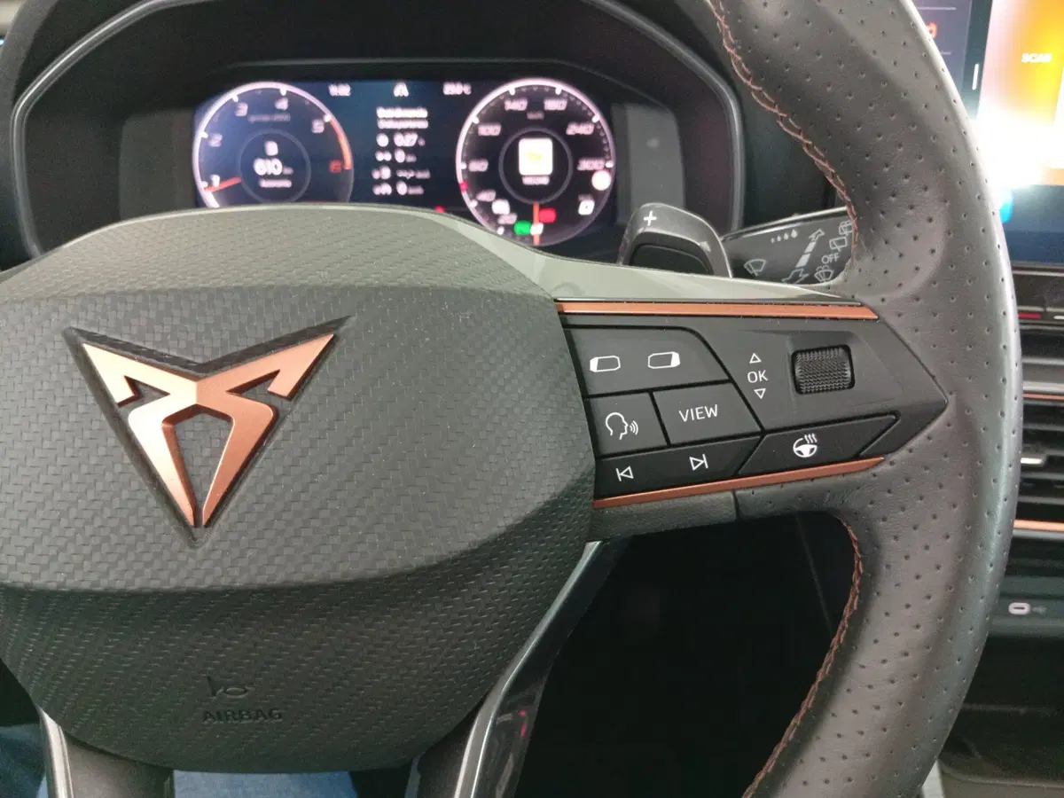 Cupra Formentor usata a Varese (13)