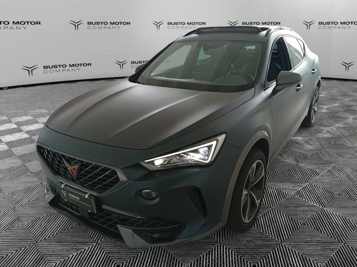 Cupra Formentor usata a Varese (3)