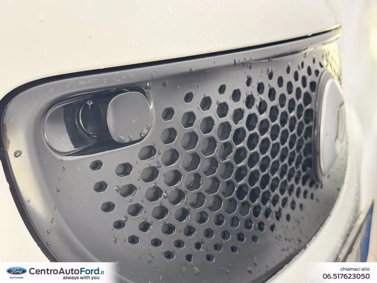 smart forfour usata a Roma (10)