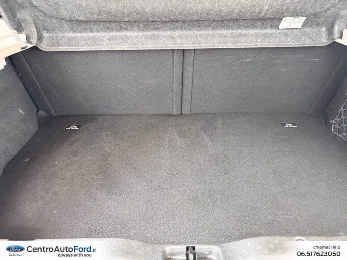 smart forfour usata a Roma (9)