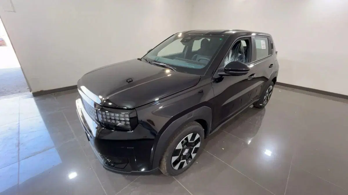 Fiat Grande Panda nuova a Milano (5)