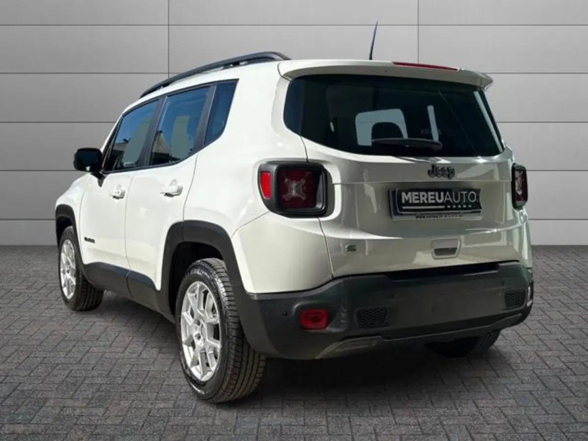 Jeep Renegade usata a Sassari (3)