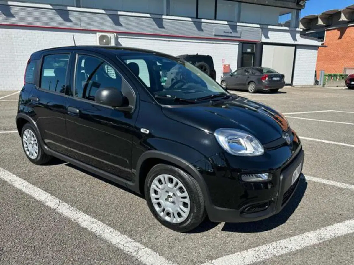 Fiat Panda usata a Lucca