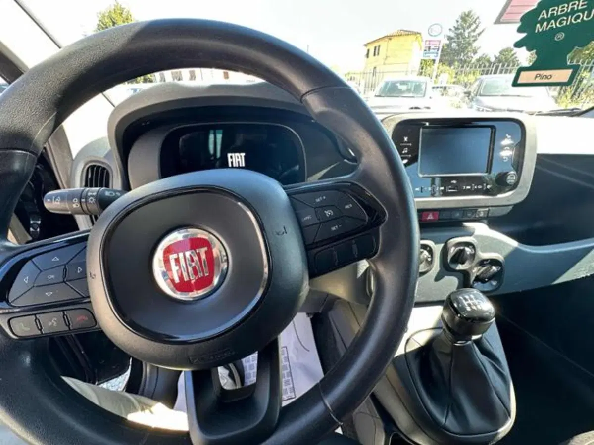 Fiat Panda usata a Lucca (10)