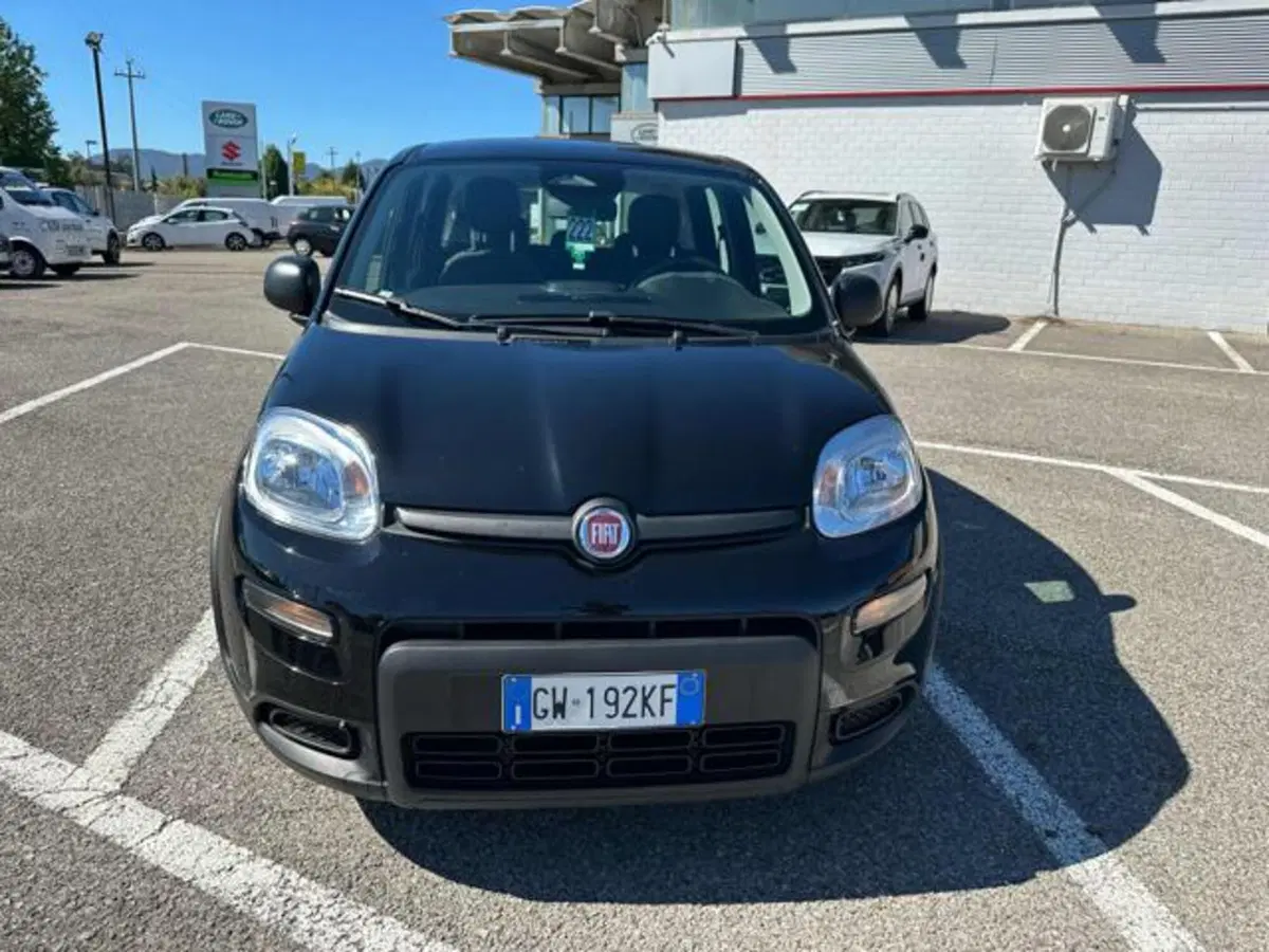Fiat Panda usata a Lucca (2)