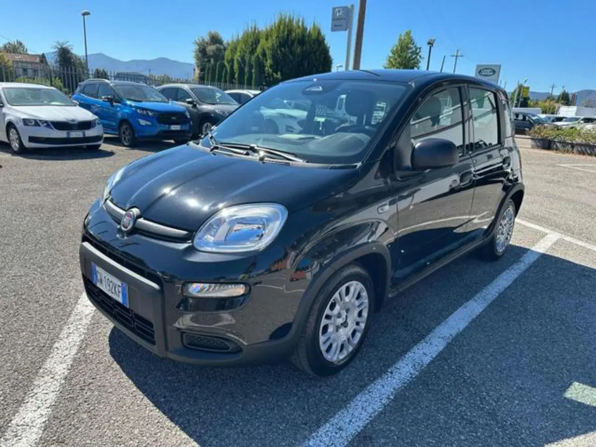 Fiat Panda usata a Lucca (3)
