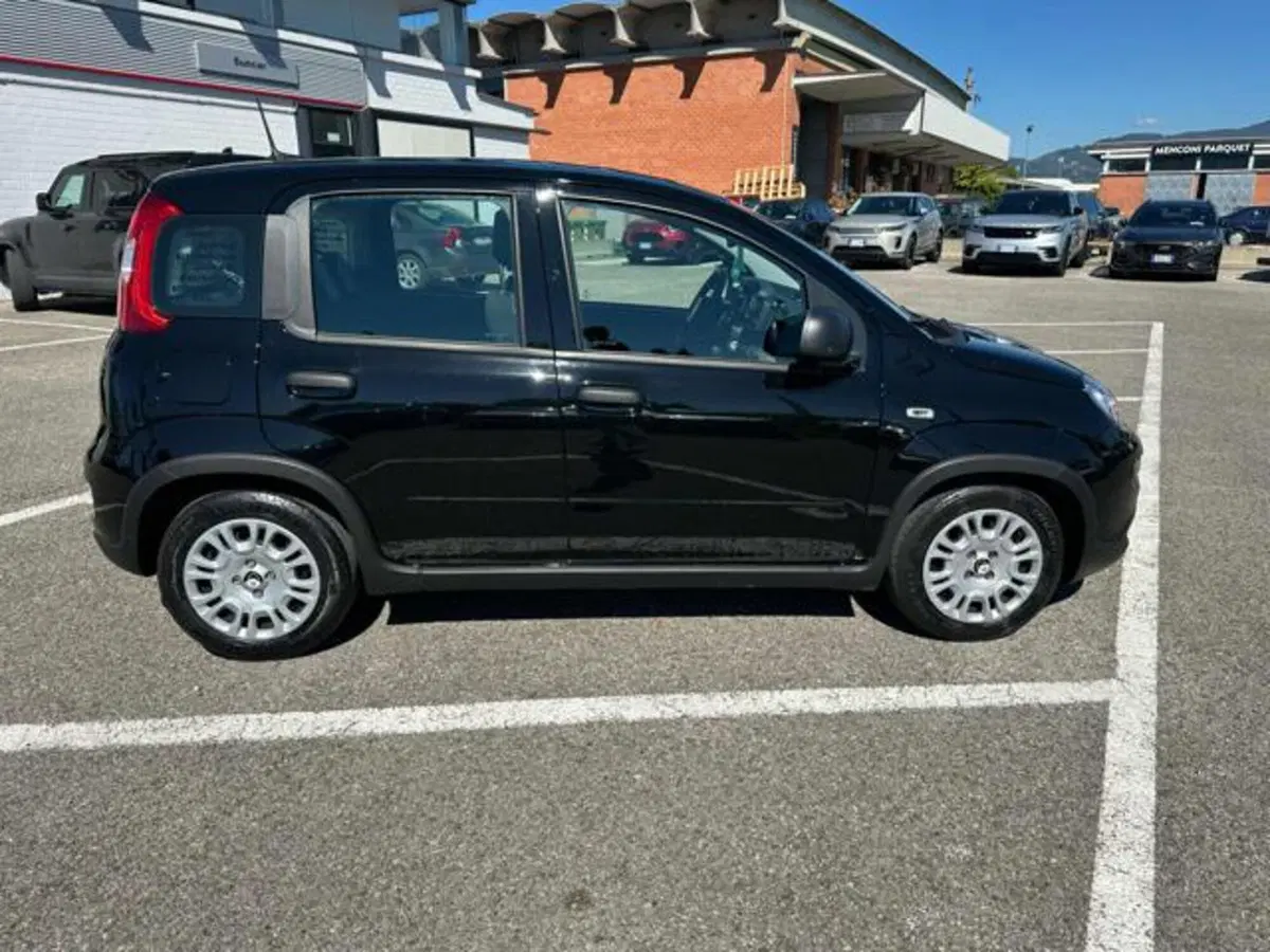 Fiat Panda usata a Lucca (4)