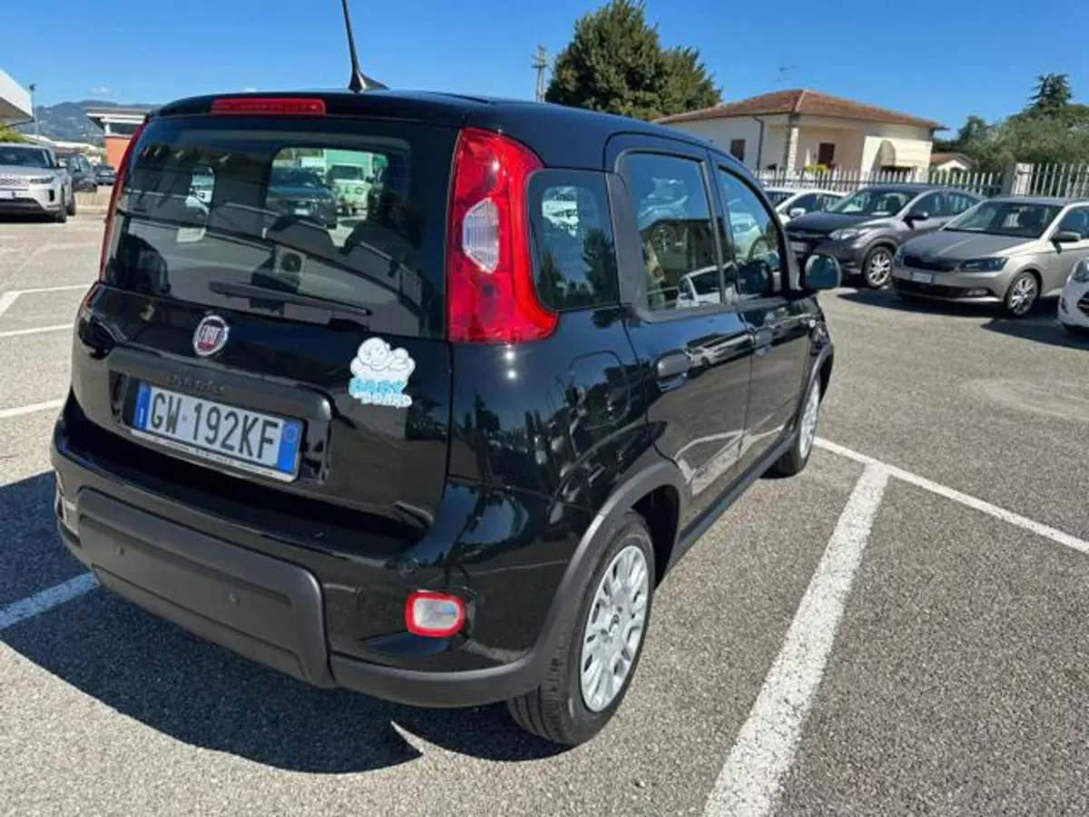 Fiat Panda usata a Lucca (5)