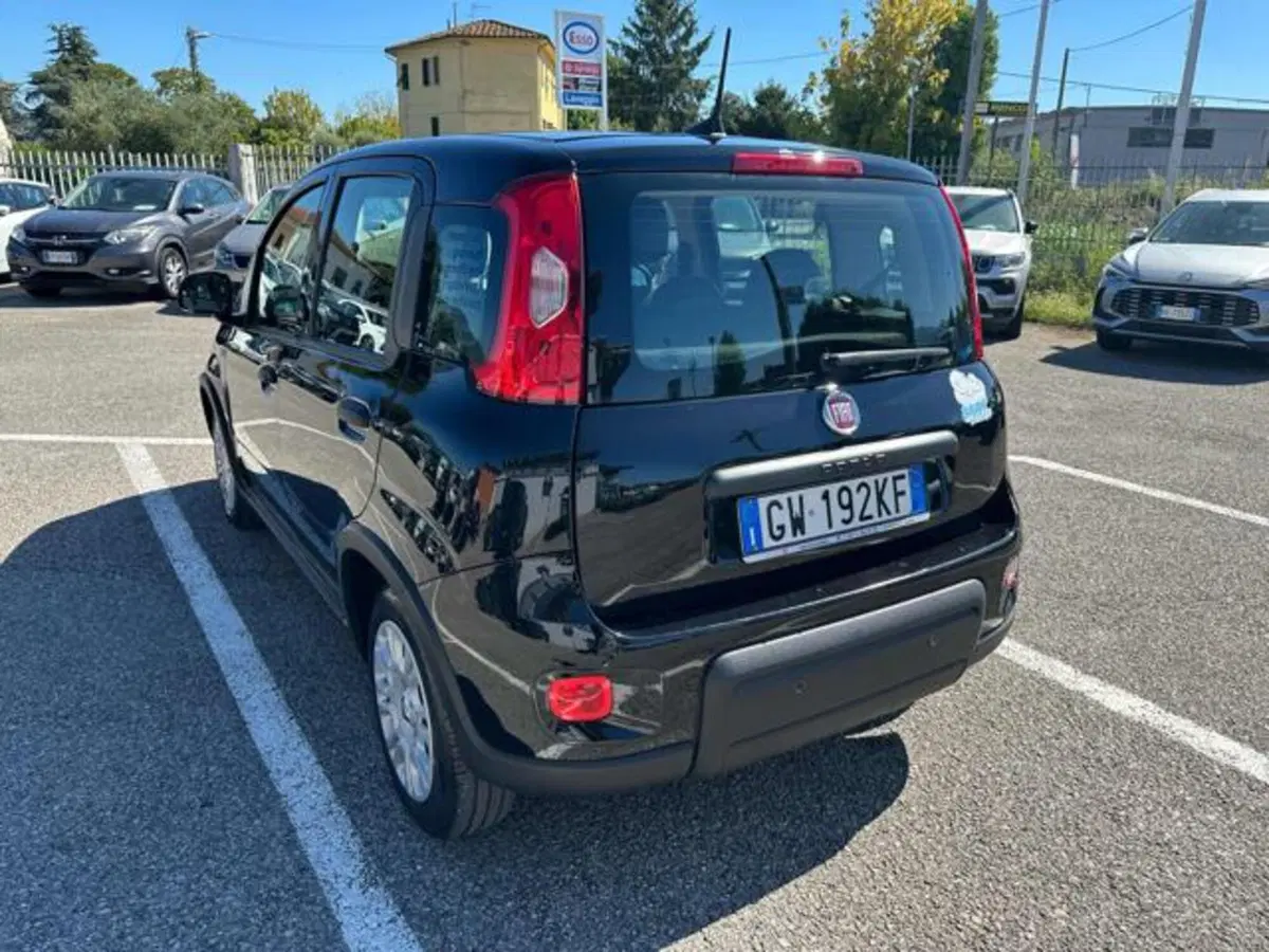 Fiat Panda usata a Lucca (6)