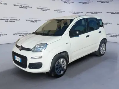 Fiat Panda 0.9 TwinAir Turbo Natural Power Easy del 2017 usata a Empoli